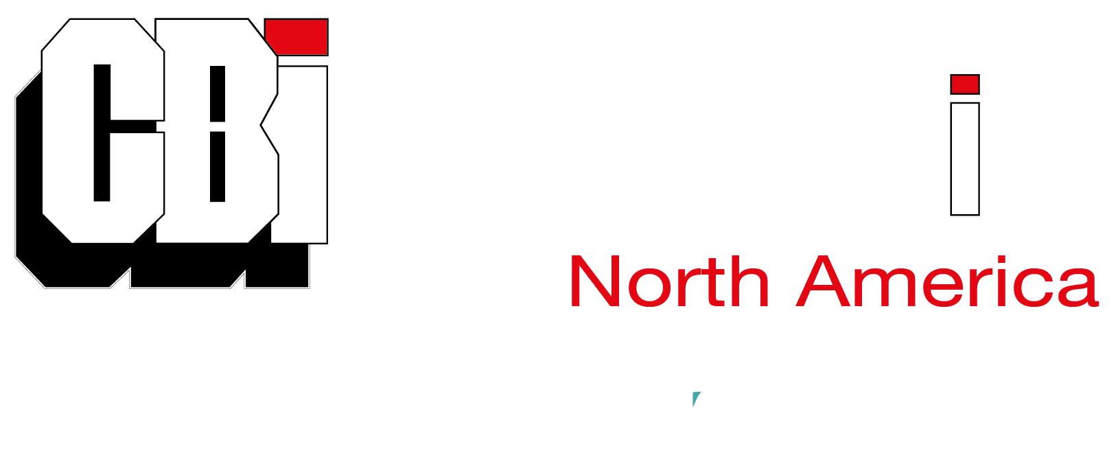 CBi Product Catalog CBI Inc